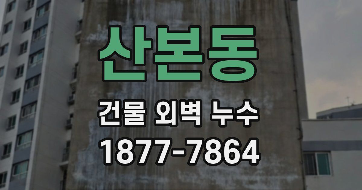 산본동 건물 외벽 누수