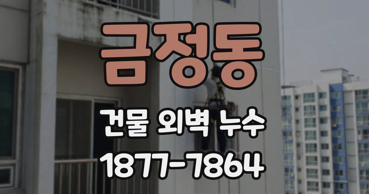 금정동 건물 외벽 누수