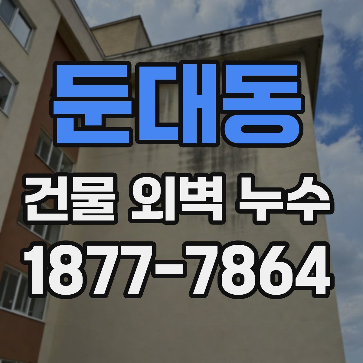 둔대동 건물 외벽 누수
