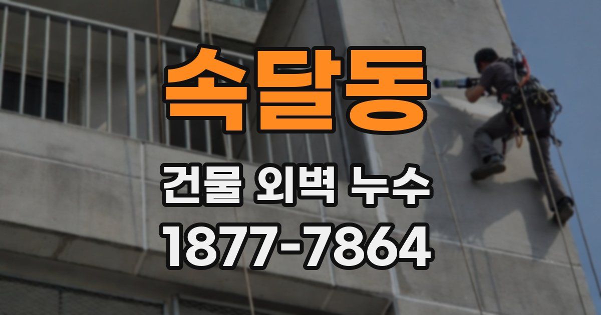 속달동 건물 외벽 누수