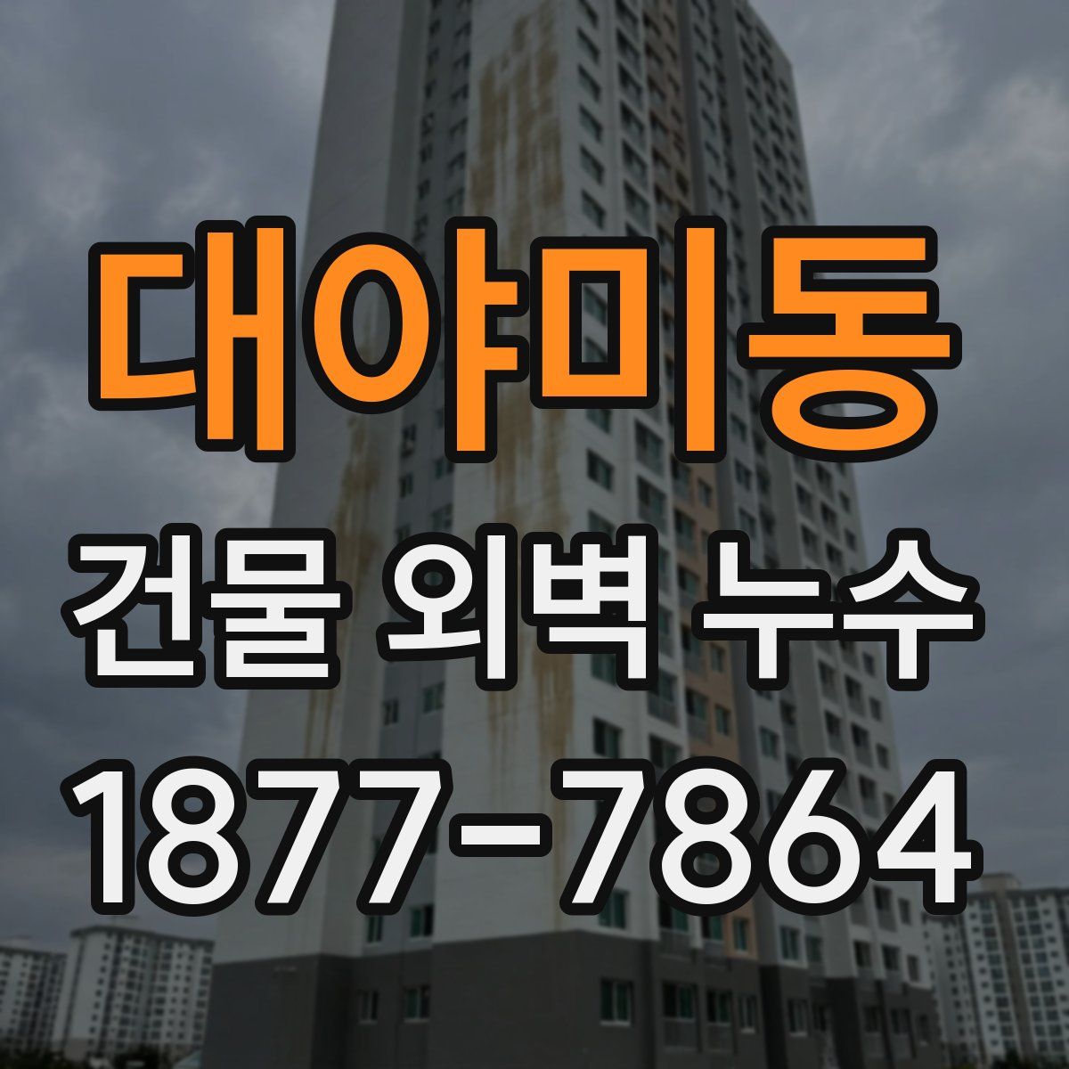 대야미동 건물 외벽 누수