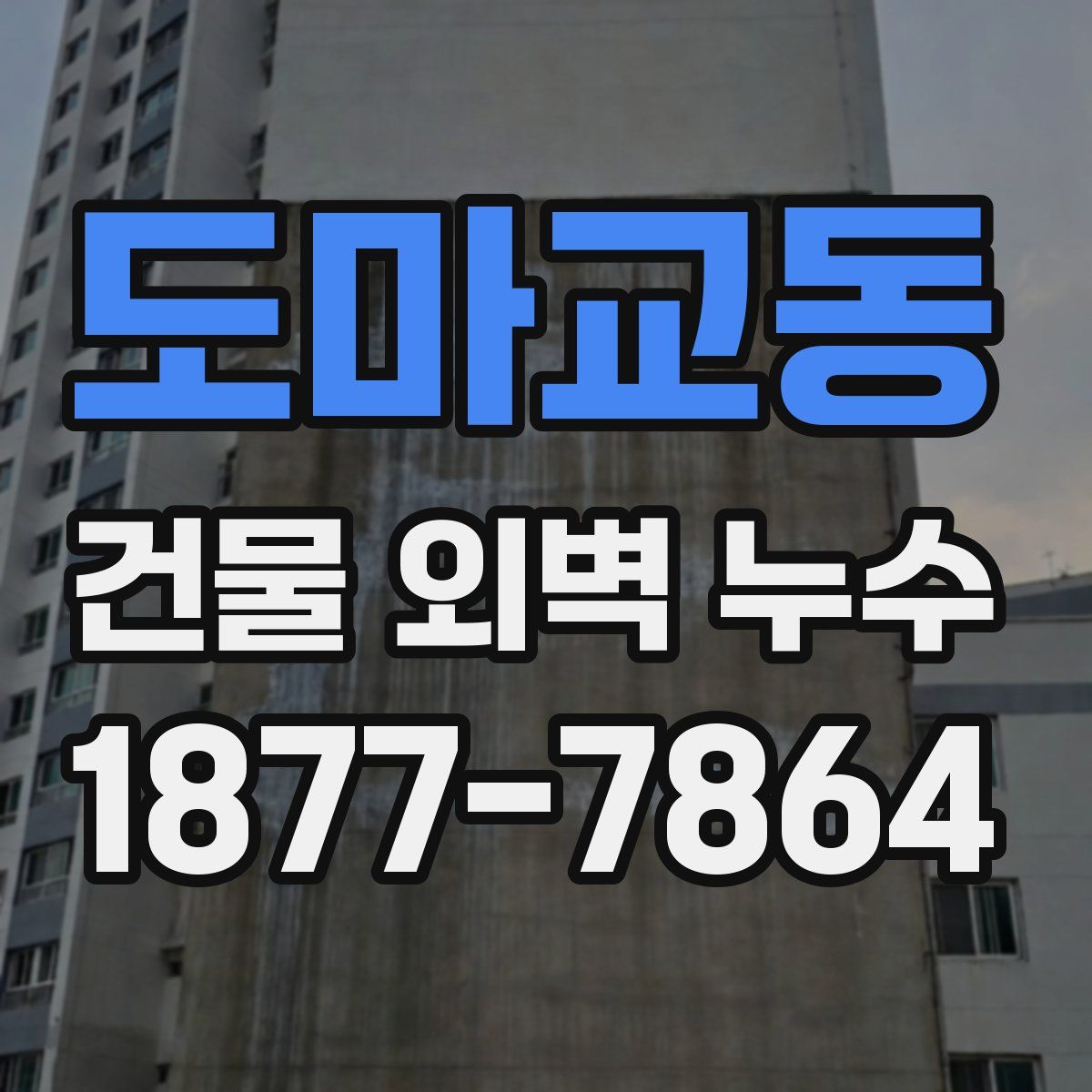도마교동 건물 외벽 누수