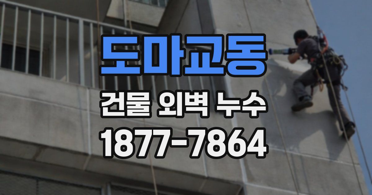 도마교동 건물 외벽 누수