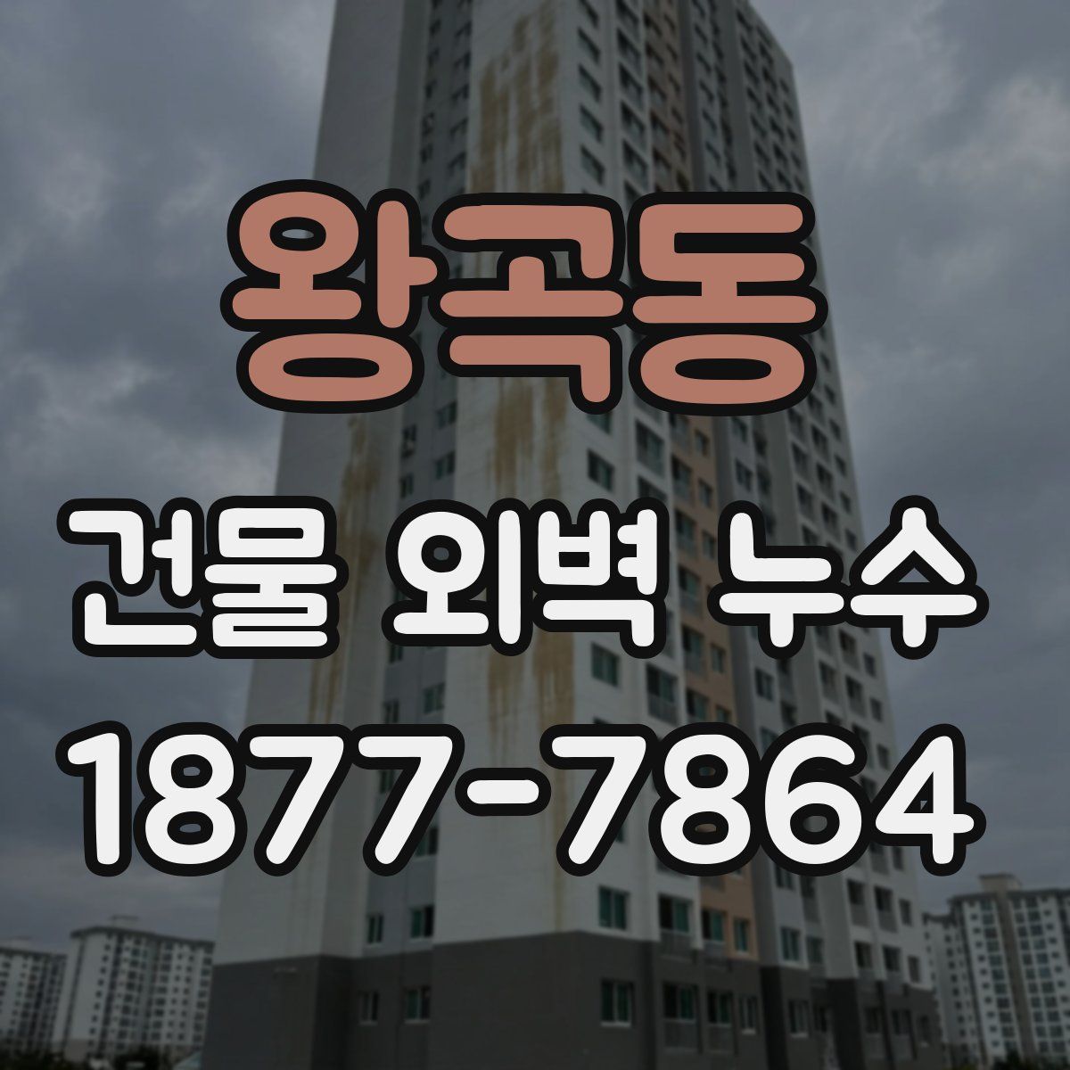 왕곡동 건물 외벽 누수