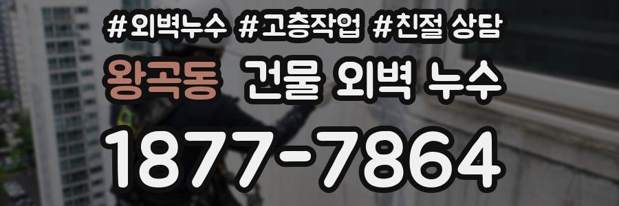왕곡동 건물 외벽 누수