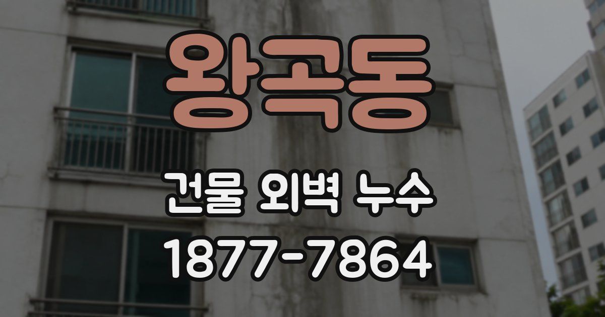 왕곡동 건물 외벽 누수
