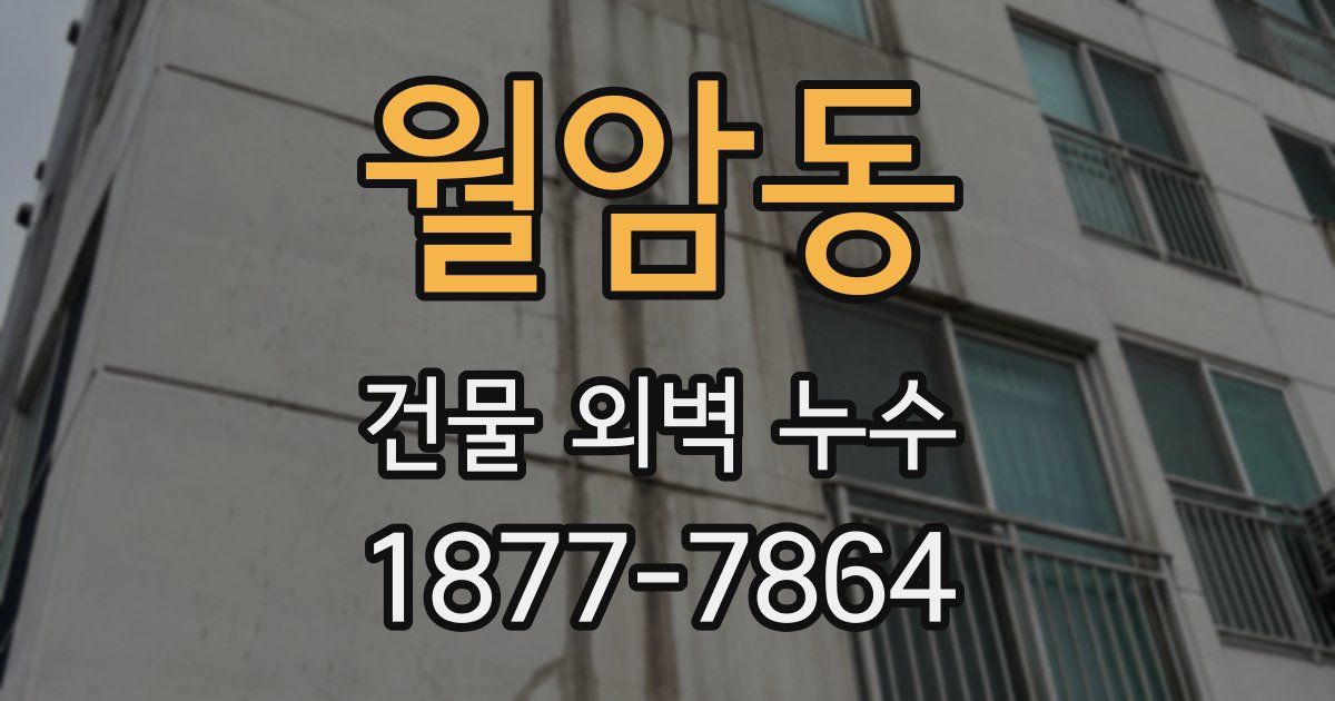 월암동 건물 외벽 누수