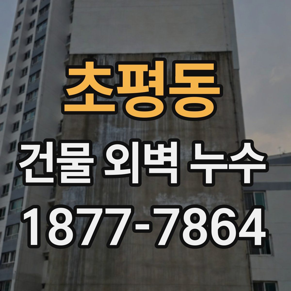 초평동 건물 외벽 누수