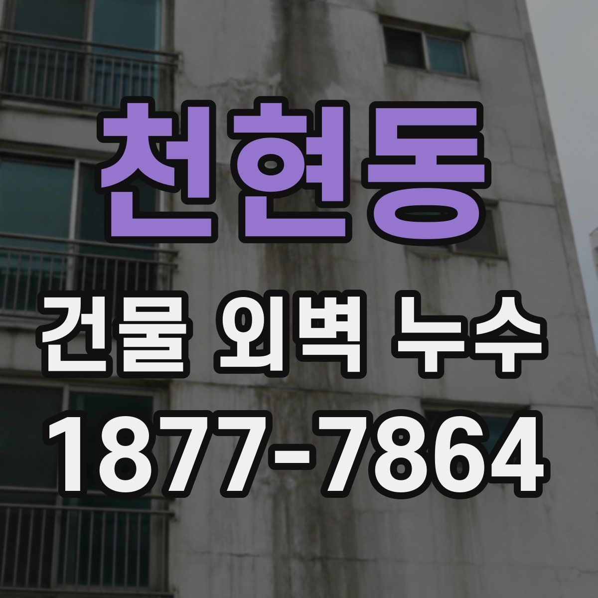 천현동 건물 외벽 누수