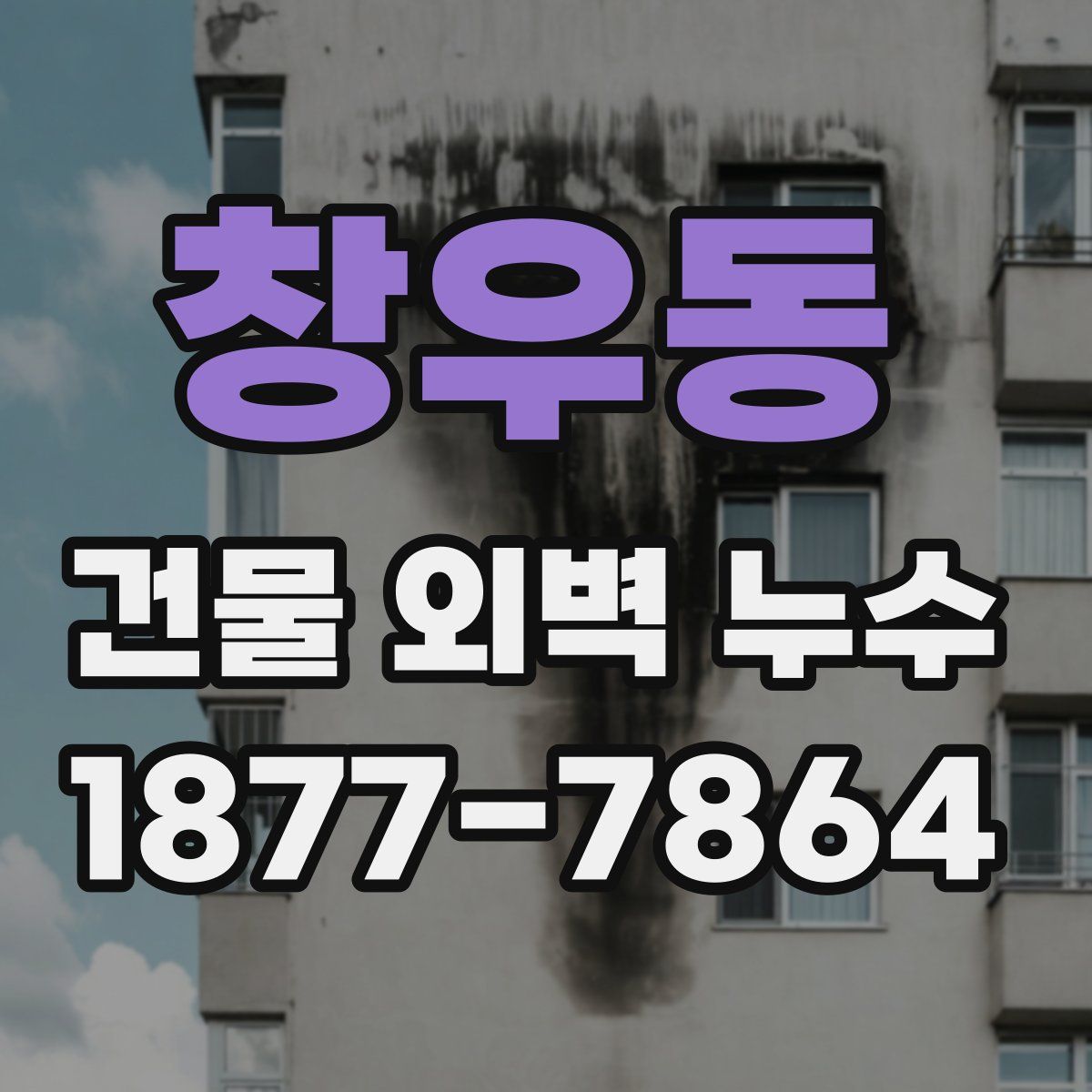 창우동 건물 외벽 누수