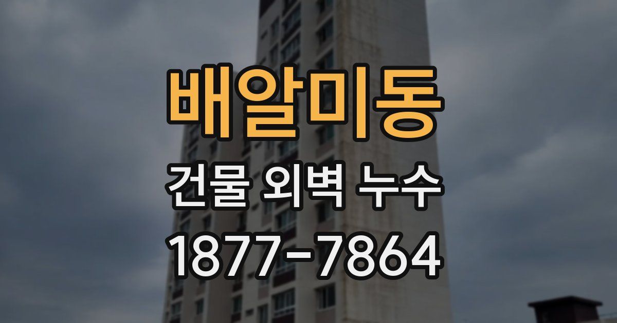 배알미동 건물 외벽 누수