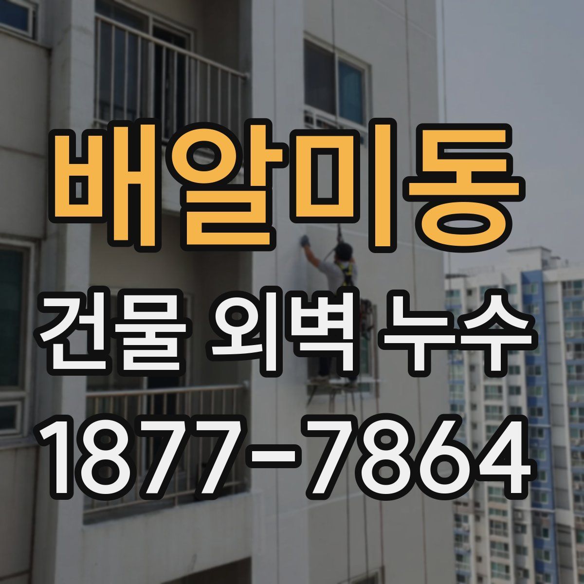 배알미동 건물 외벽 누수
