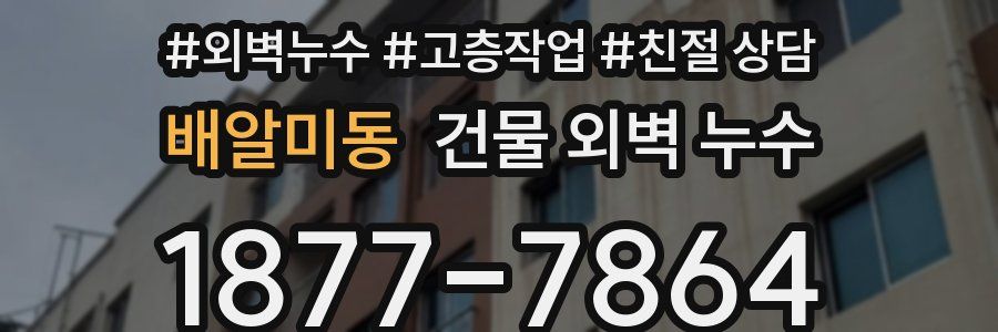 배알미동 건물 외벽 누수