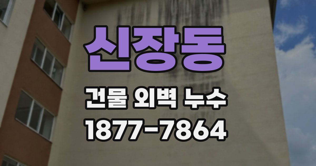 신장동 건물 외벽 누수