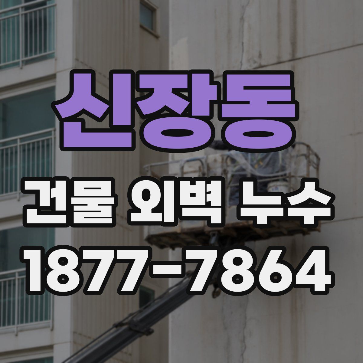 신장동 건물 외벽 누수