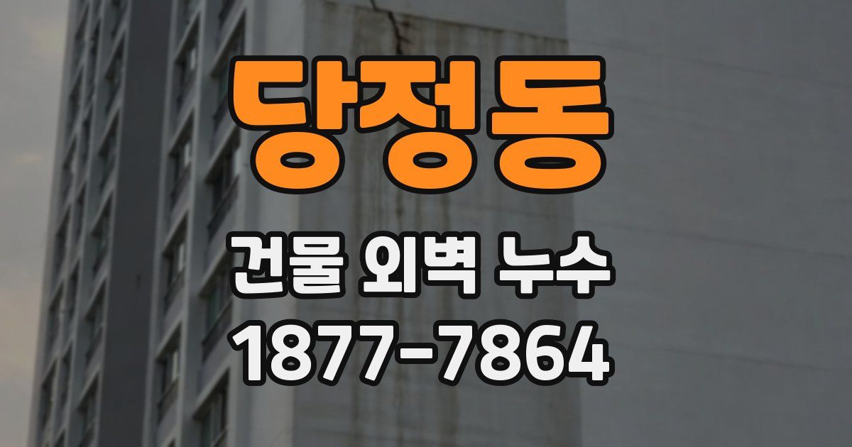 당정동 건물 외벽 누수