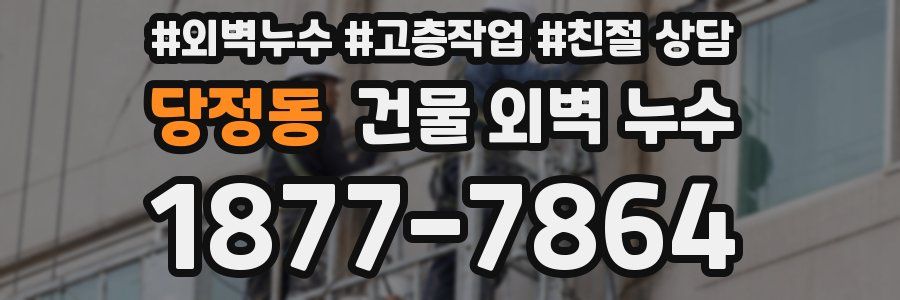 당정동 건물 외벽 누수