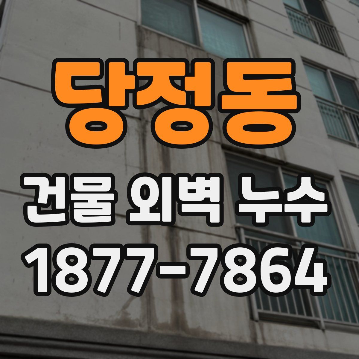당정동 건물 외벽 누수