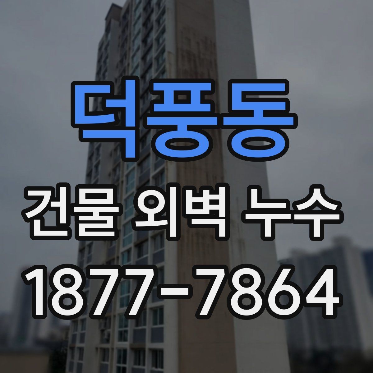 덕풍동 건물 외벽 누수 가격을 좌우하는 주요 조건
