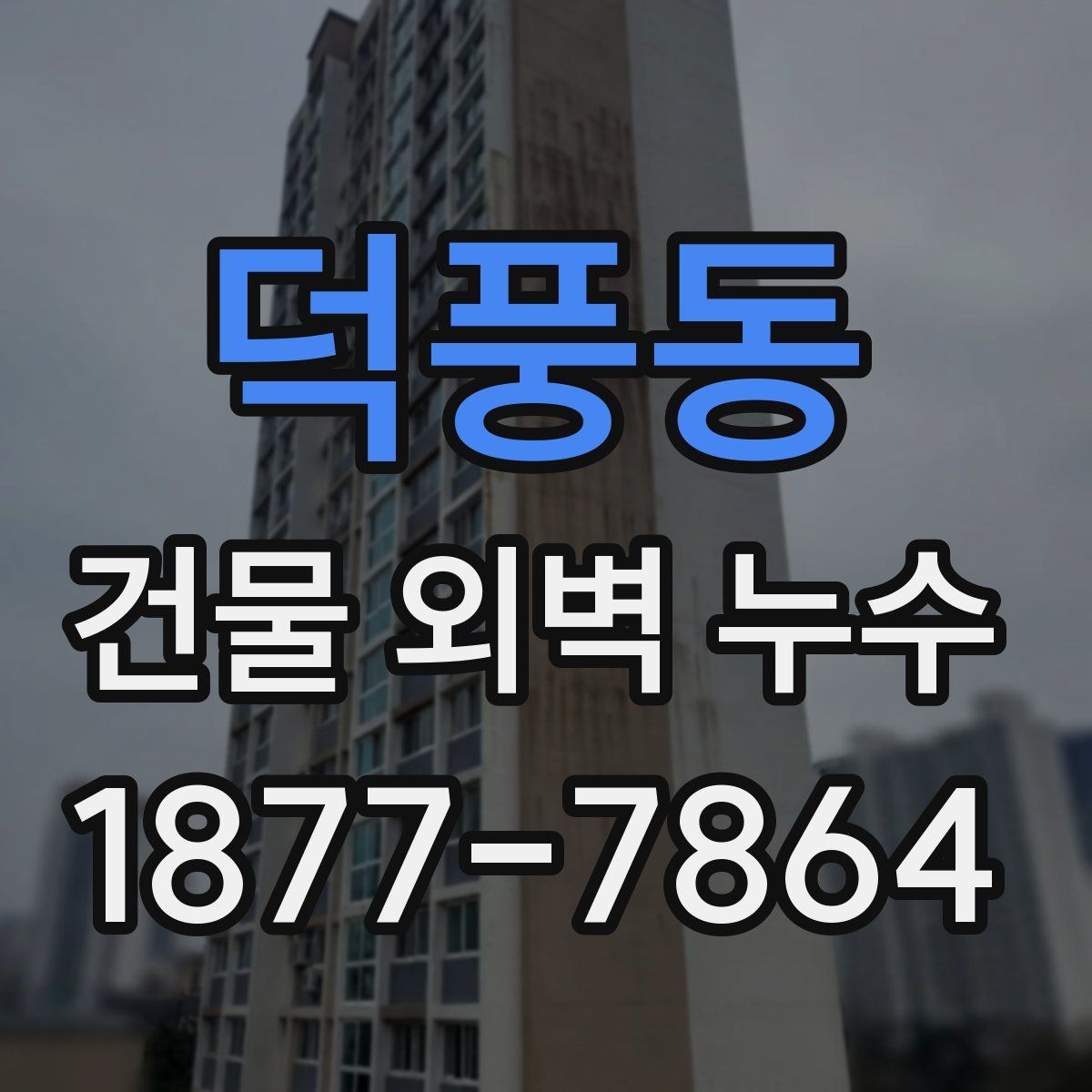 덕풍동 건물 외벽 누수