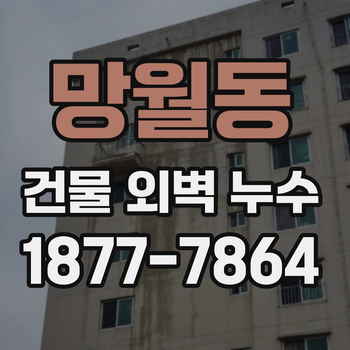 망월동 건물 외벽 누수