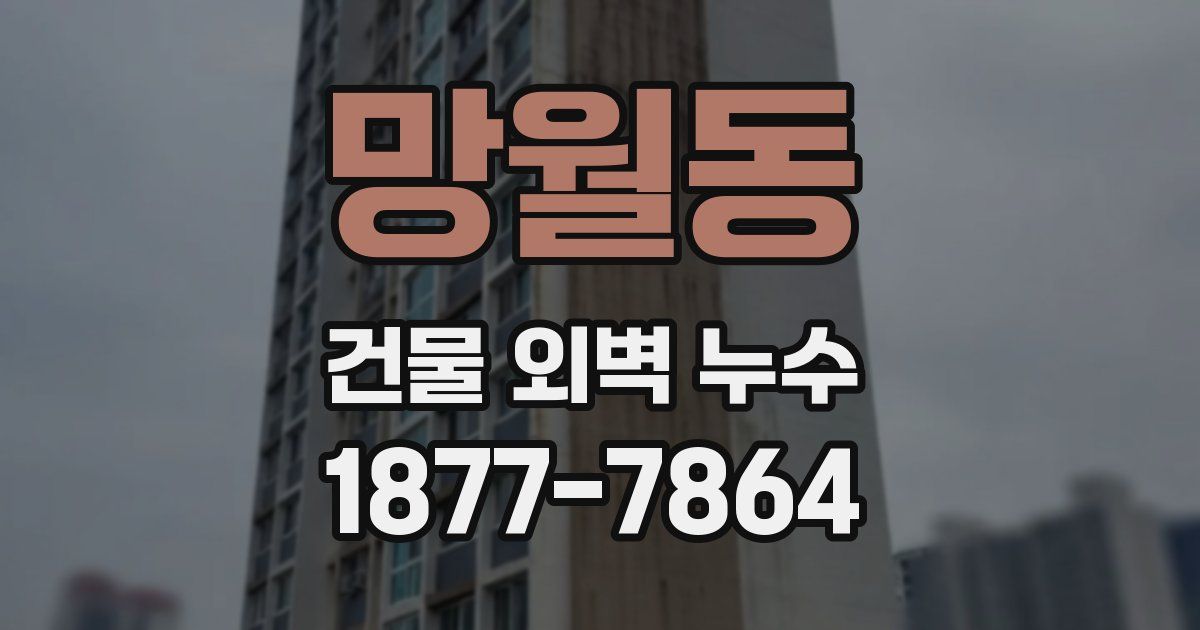 망월동 건물 외벽 누수