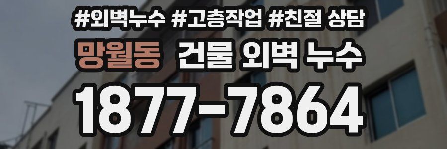 망월동 건물 외벽 누수
