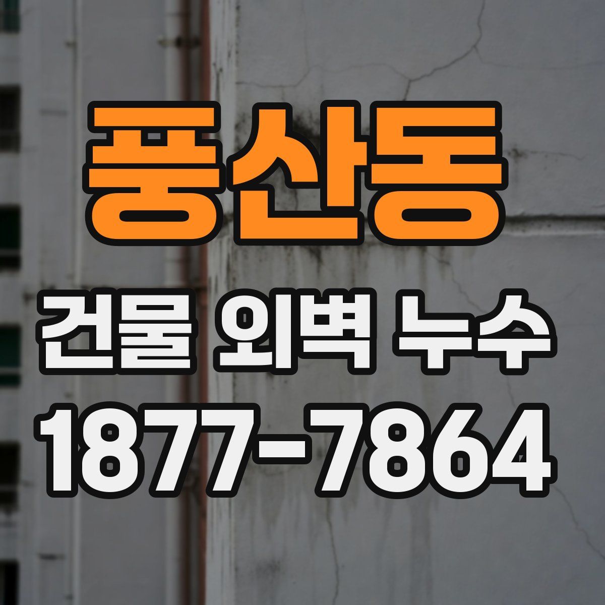 풍산동 건물 외벽 누수
