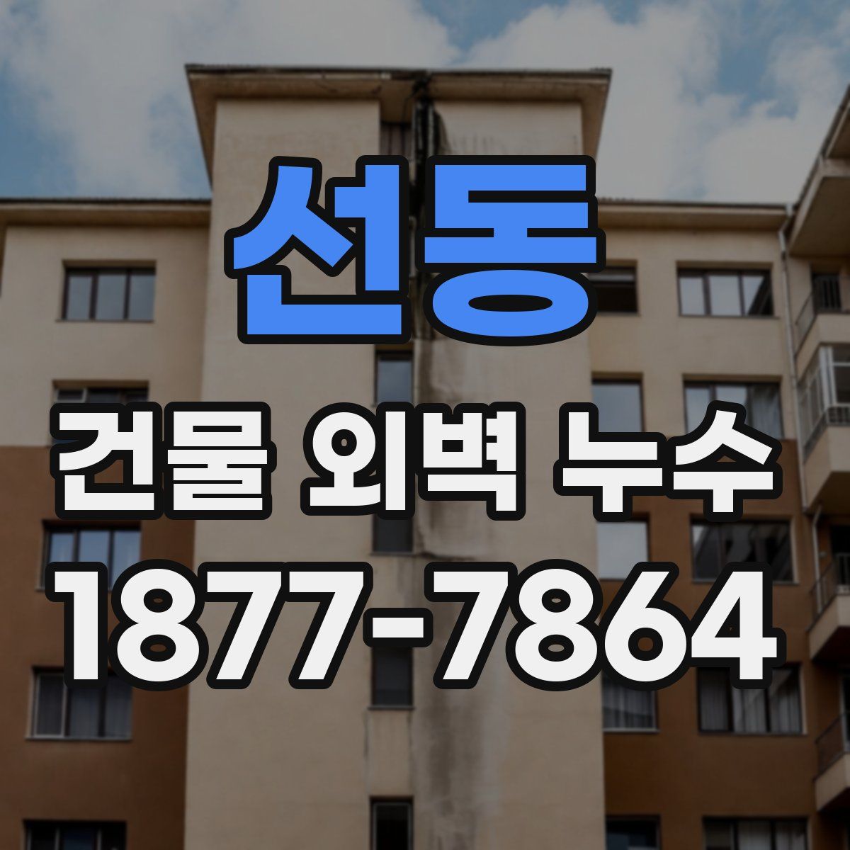 선동 건물 외벽 누수