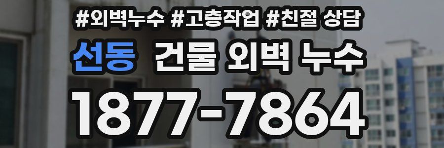 선동 건물 외벽 누수