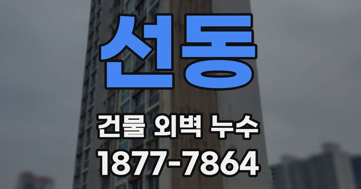 선동 건물 외벽 누수