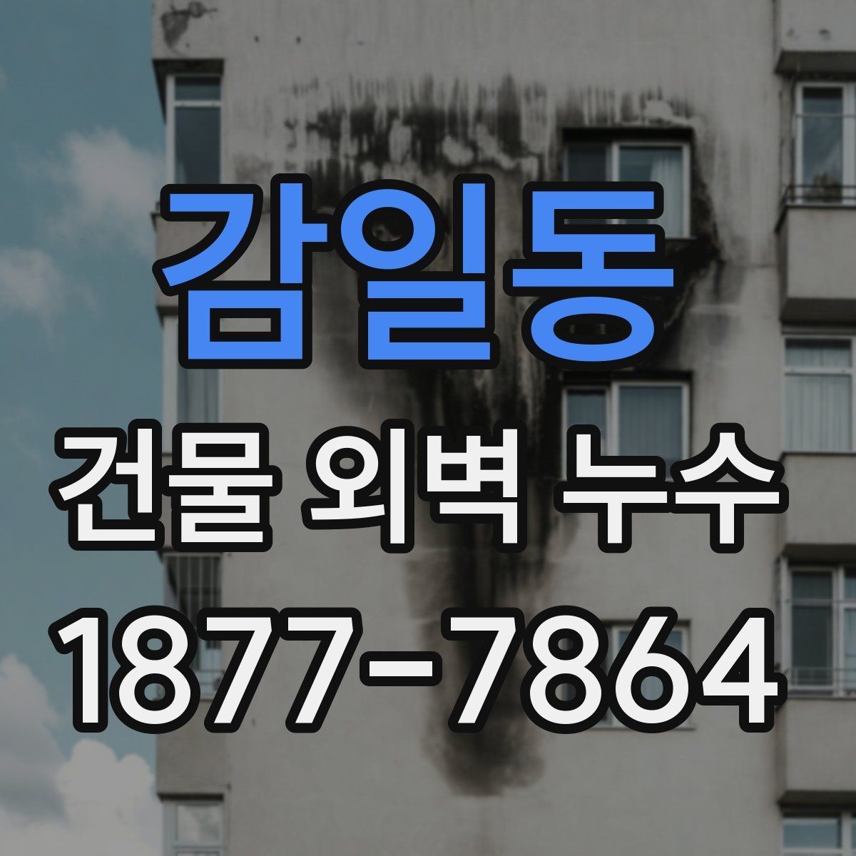 감일동 건물 외벽 누수 원인별 증상 정리