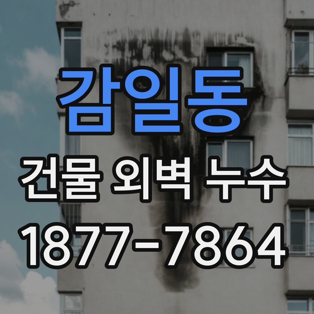감일동 건물 외벽 누수