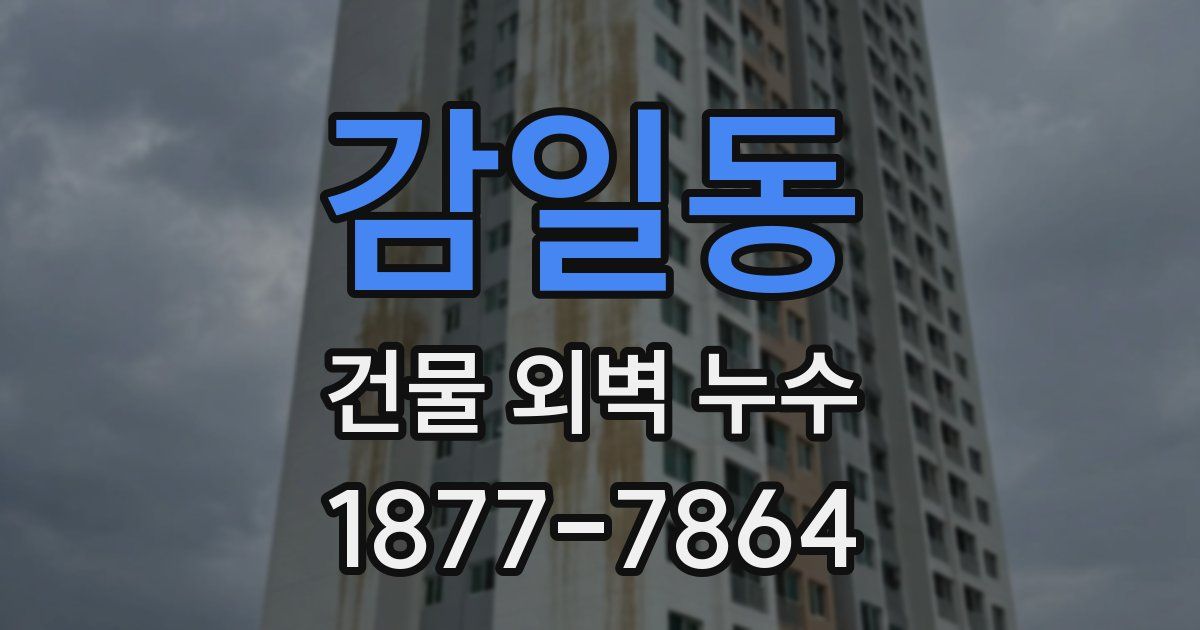 감일동 건물 외벽 누수
