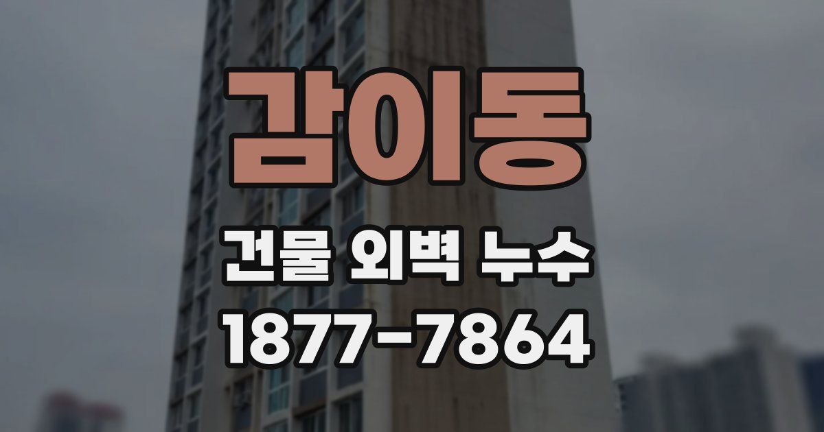 감이동 건물 외벽 누수