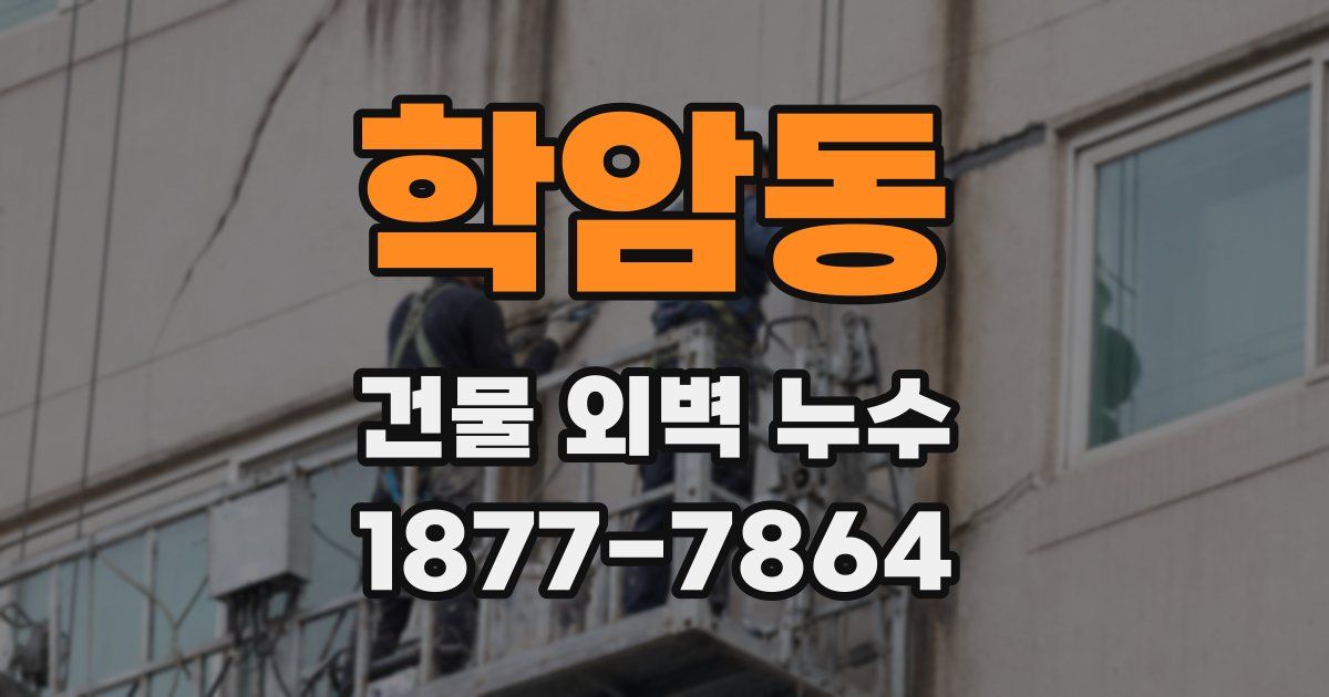 학암동 건물 외벽 누수
