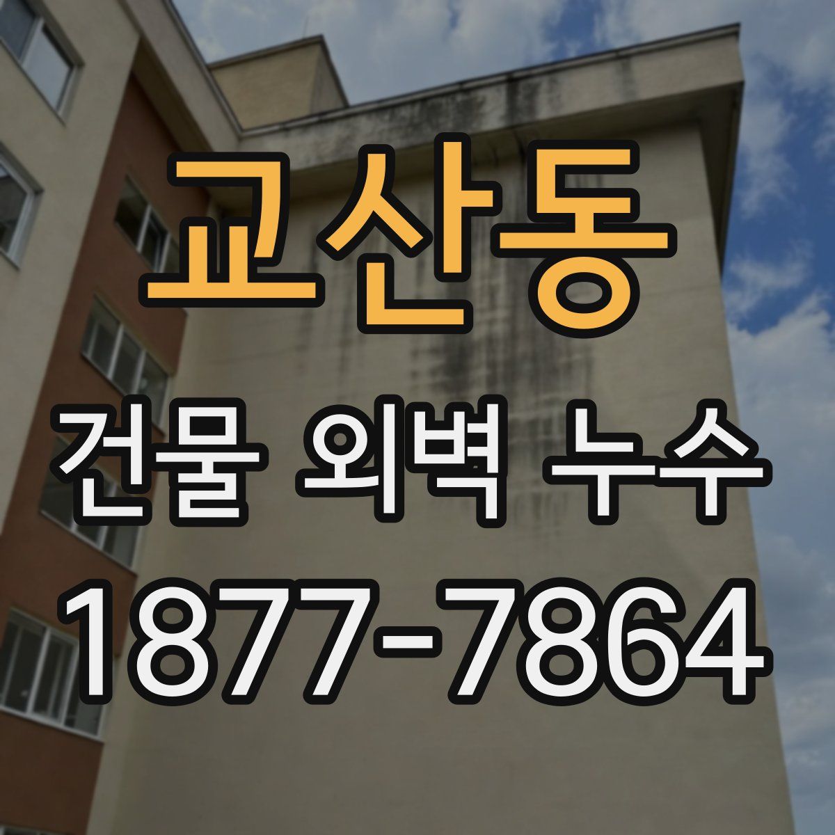 교산동 건물 외벽 누수