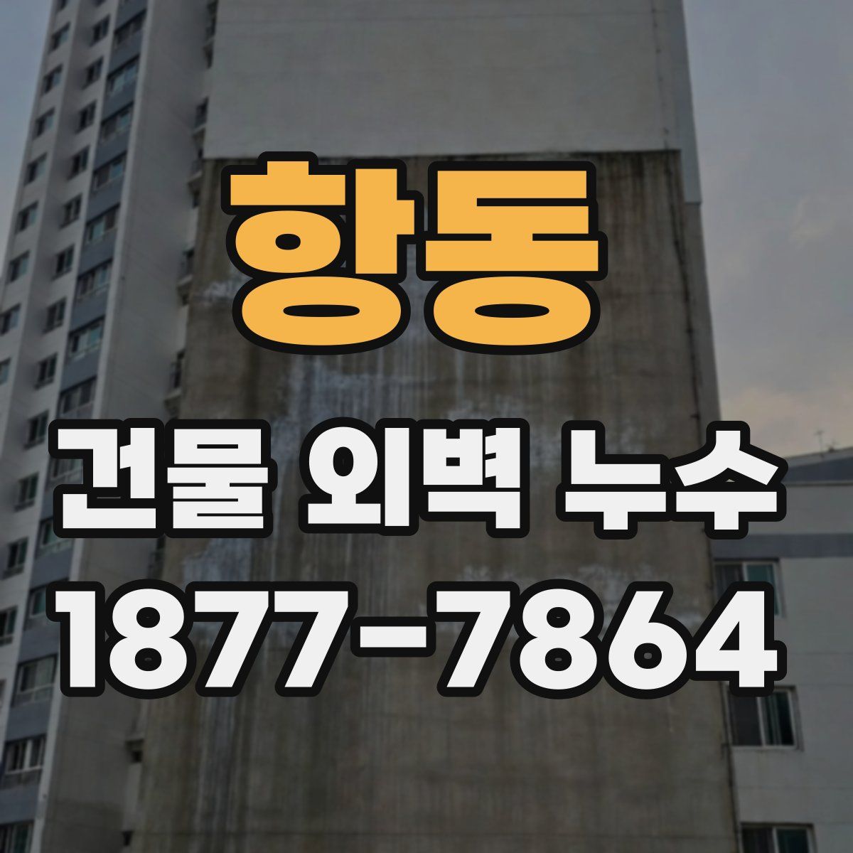 항동 건물 외벽 누수