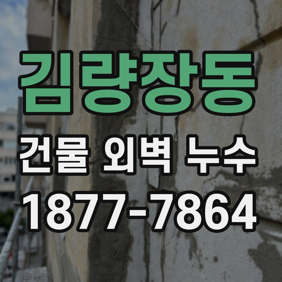 김량장동 건물 외벽 누수