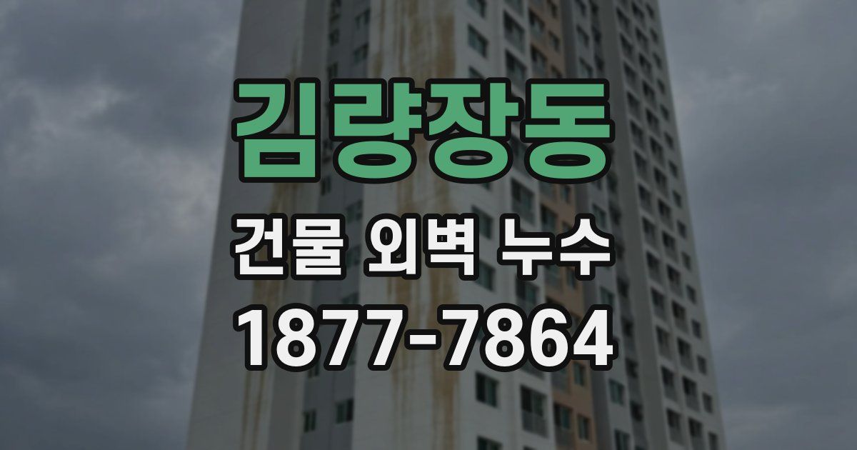 김량장동 건물 외벽 누수