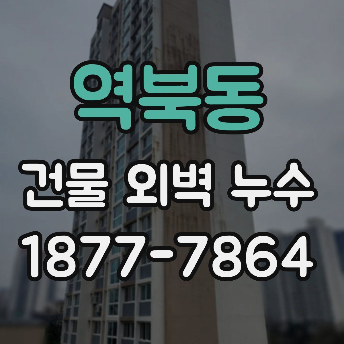 역북동 건물 외벽 누수