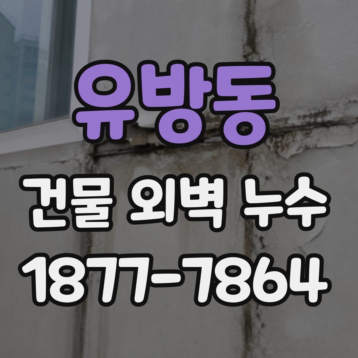 유방동 건물 외벽 누수