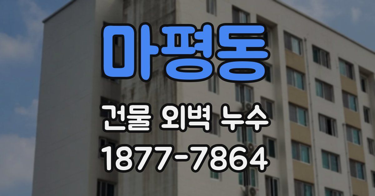 마평동 건물 외벽 누수