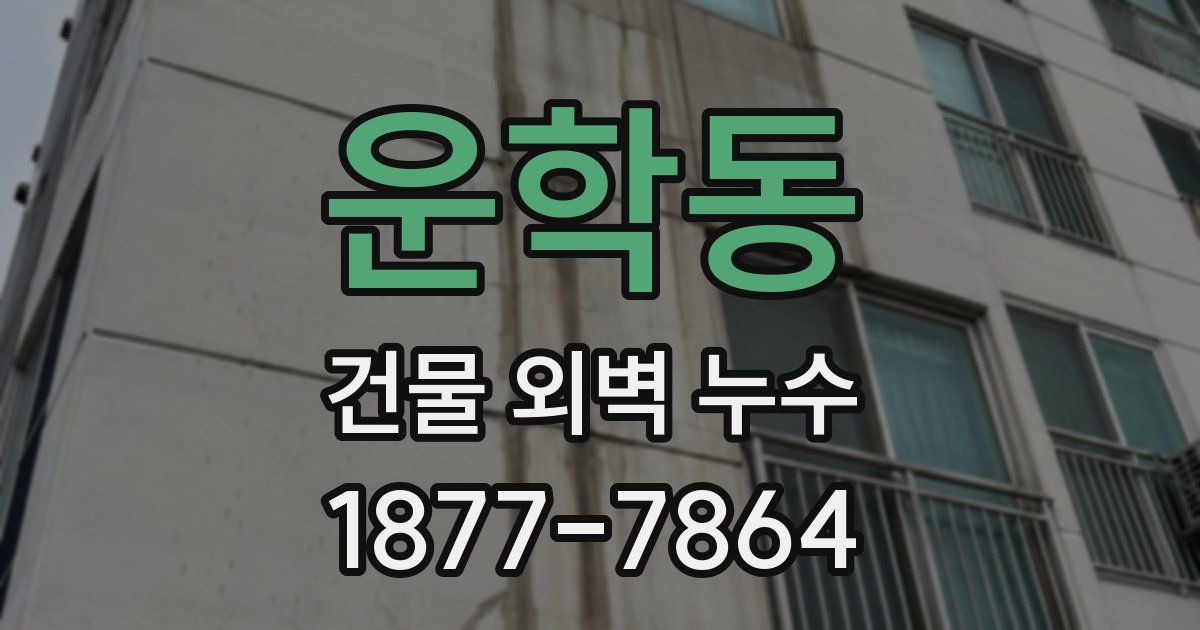 운학동 건물 외벽 누수