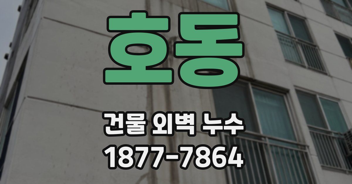 호동 건물 외벽 누수