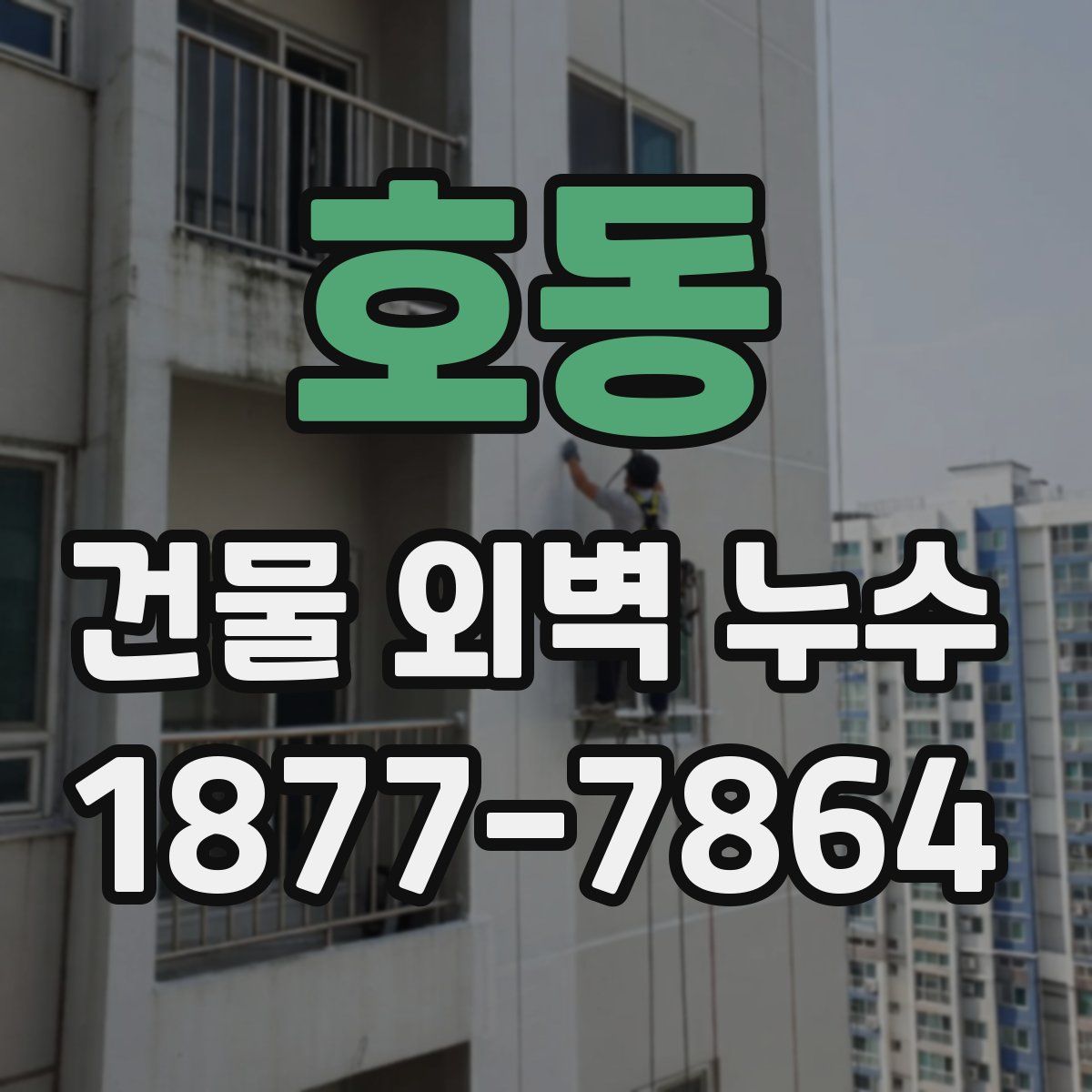 호동 건물 외벽 누수