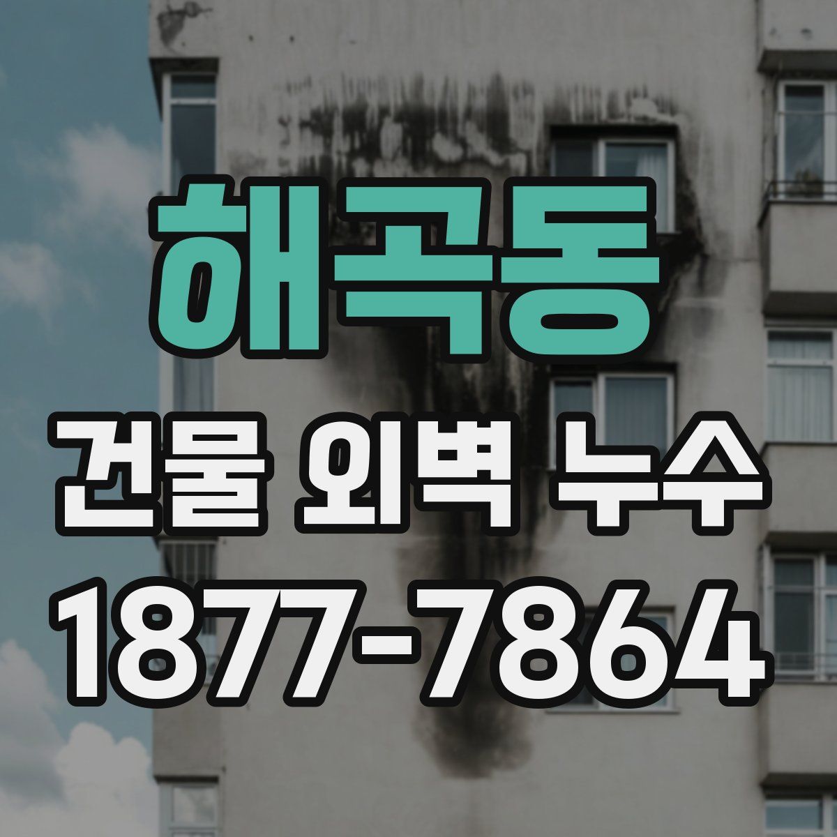 해곡동 건물 외벽 누수