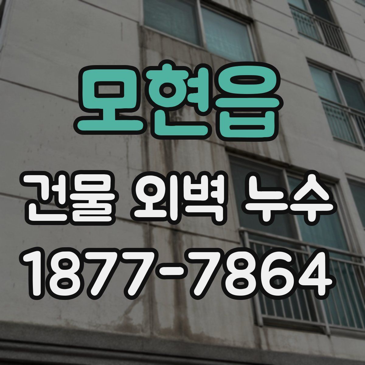 모현읍 건물 외벽 누수