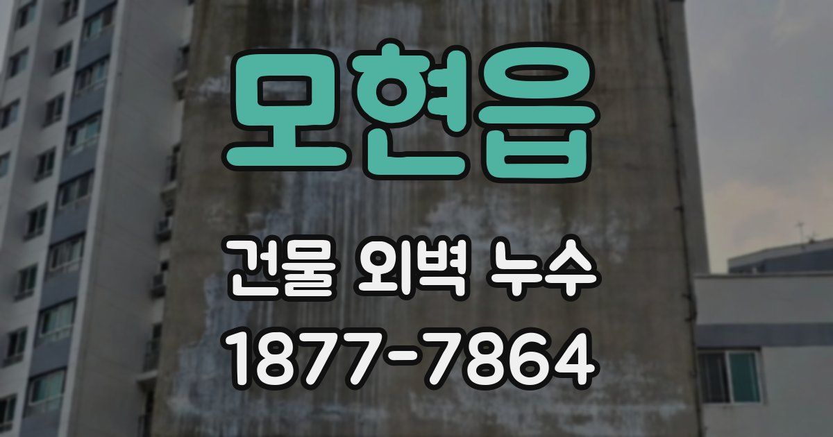 모현읍 건물 외벽 누수