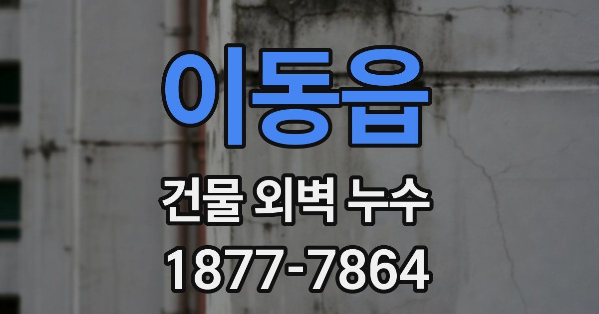 이동읍 건물 외벽 누수